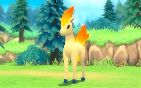 evolved ponyta|what level does ponyta evolve.